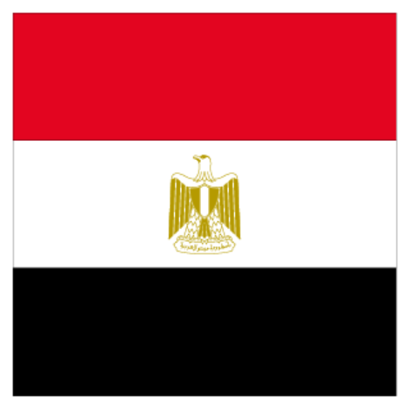 Group logo of Marriage from Egypt